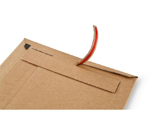 csv_image script asset.11062910.jpg