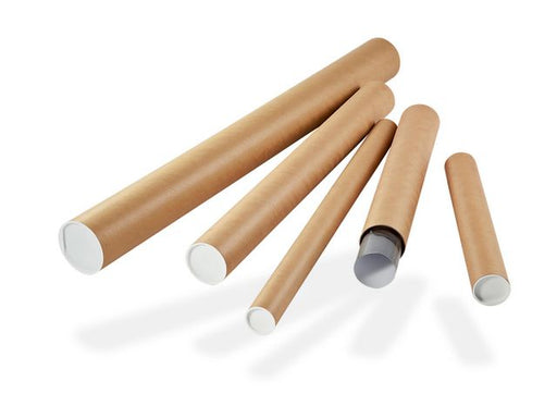 csv_image script asset.11063561.jpg