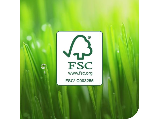 csv_image script asset.11064793.jpg