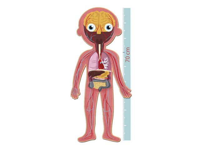 csv_image script asset.11066063.jpg