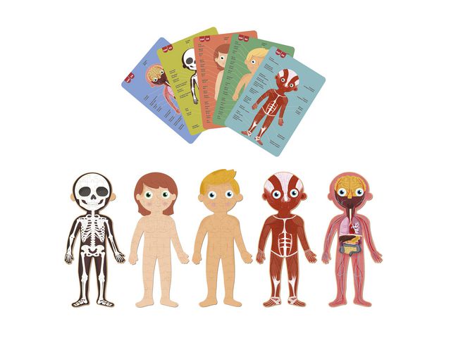 csv_image script asset.11066064.jpg