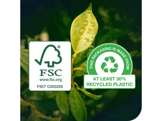 csv_image script asset.11089567.jpg