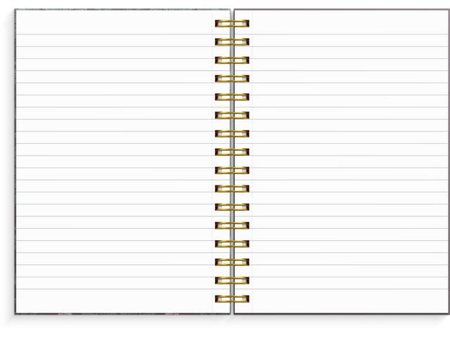 csv_image script asset.11102102.jpg