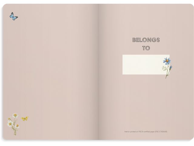 csv_image script asset.11102109.jpg