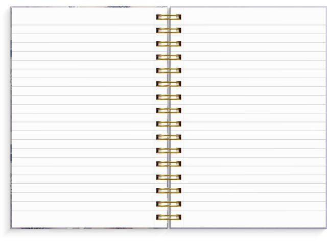 csv_image script asset.11102111.jpg
