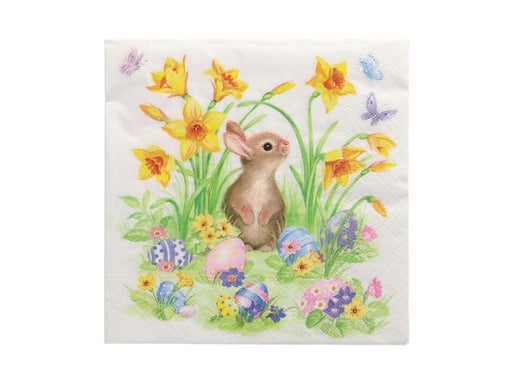 csv_image script asset.11110693.jpg