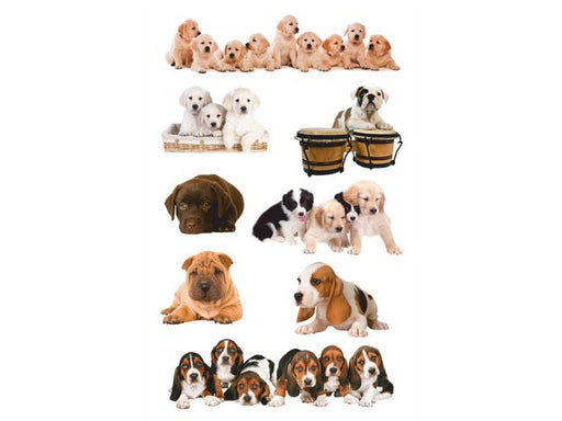 csv_image script asset.11123300.jpg