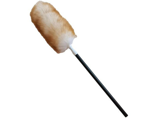 csv_image script asset.11124516.jpg