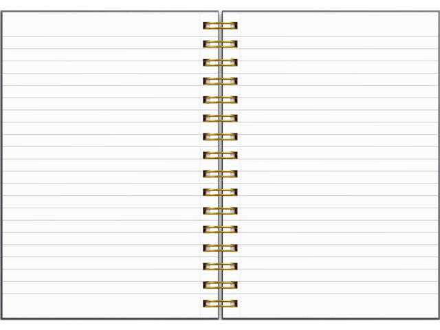 csv_image script asset.11127709.jpg