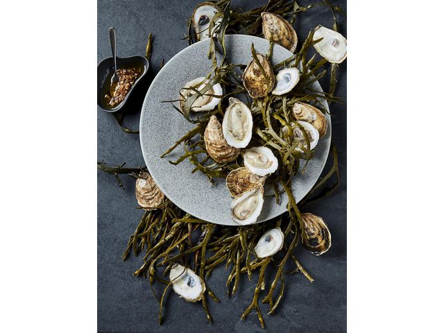 csv_image script asset.11131809.jpg