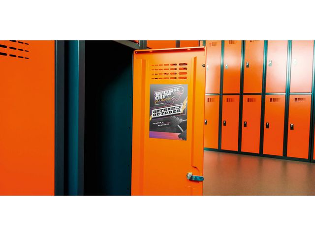 csv_image script asset.11136979.jpg