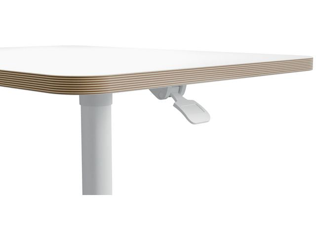 csv_image script asset.11141205.jpg