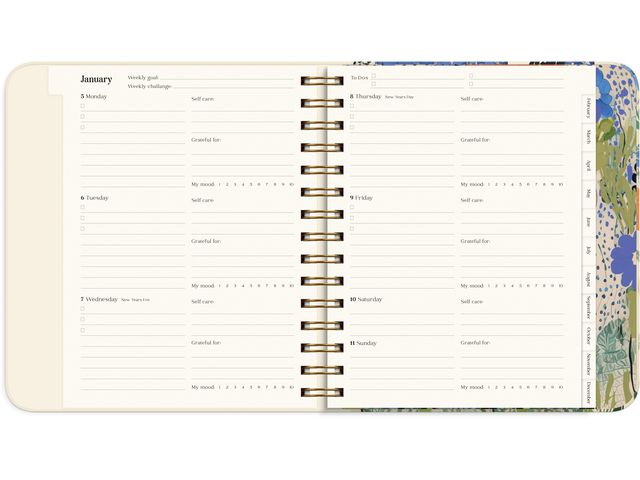 csv_image script asset.11164087.jpg