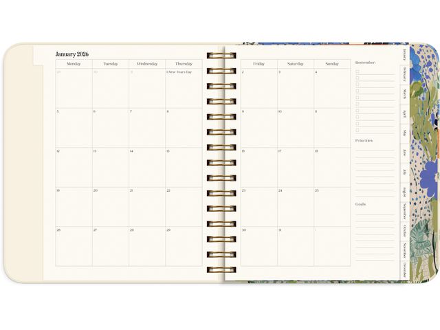 csv_image script asset.11164088.jpg