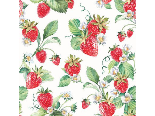 csv_image script asset.11165680.jpg