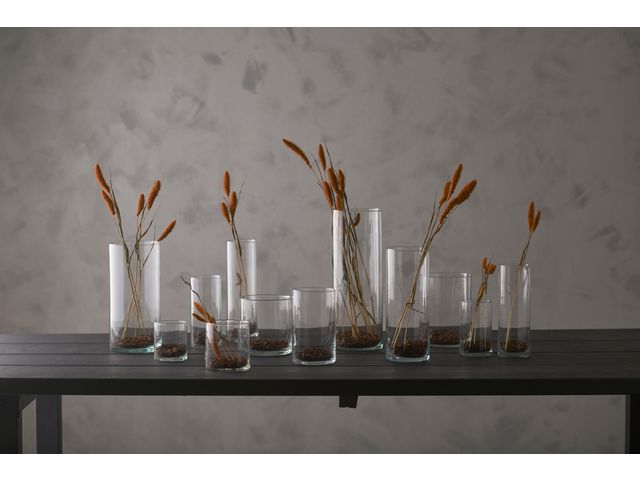 csv_image script asset.11165696.jpg