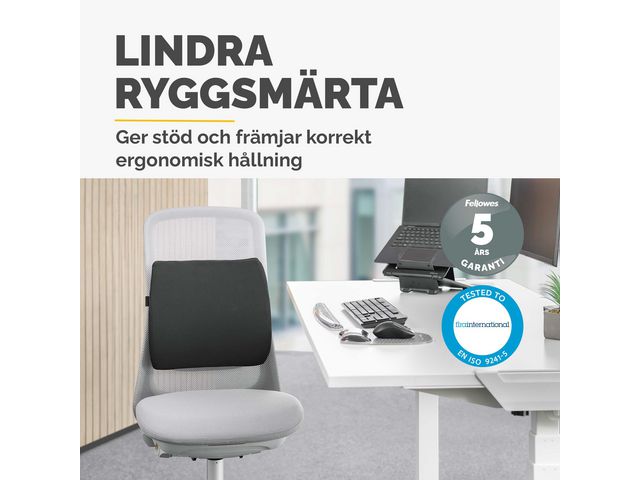 csv_image script asset.11169417.jpg