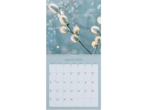 csv_image script asset.11174350.jpg