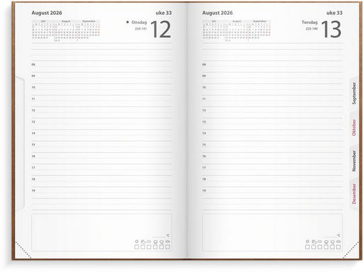 csv_image script asset.11174357.jpg