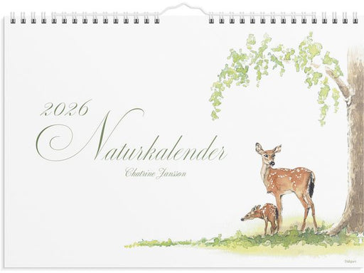 csv_image script asset.11174385.jpg