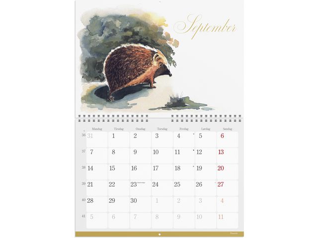 csv_image script asset.11174387.jpg