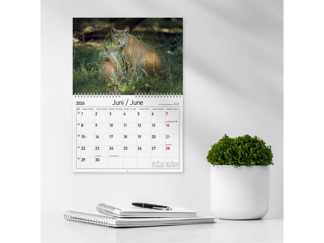 csv_image script asset.11174391.jpg