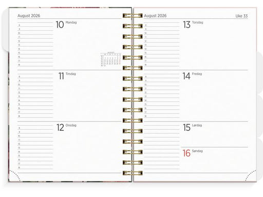 csv_image script asset.11174402.jpg