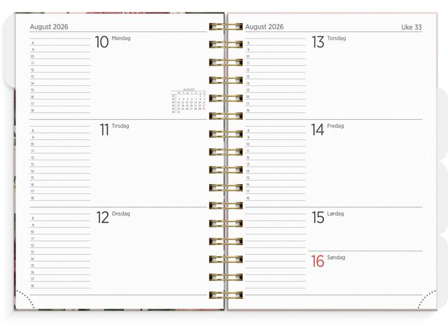 csv_image script asset.11174402.jpg