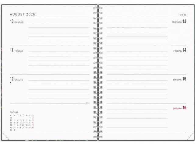 csv_image script asset.11174419.jpg