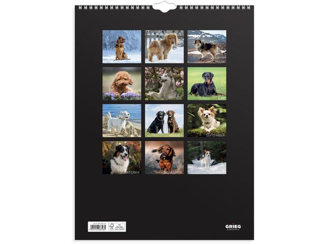 csv_image script asset.11174433.jpg