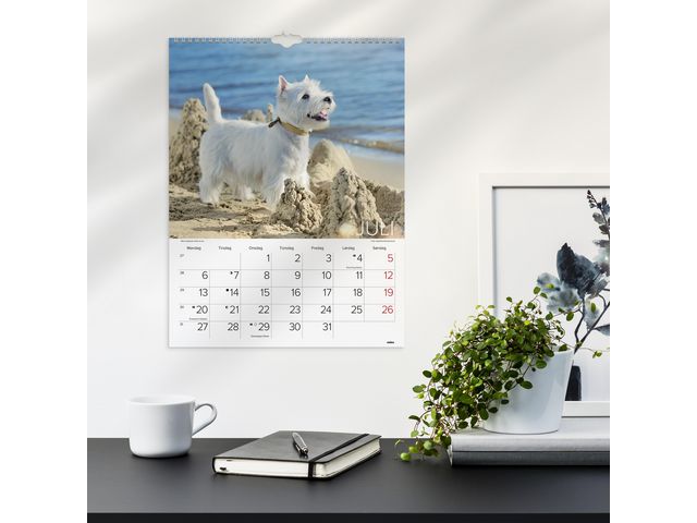 csv_image script asset.11174434.jpg