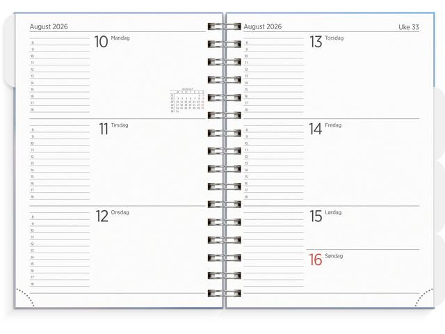 csv_image script asset.11174436.jpg