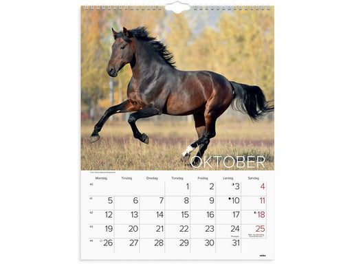 csv_image script asset.11174462.jpg