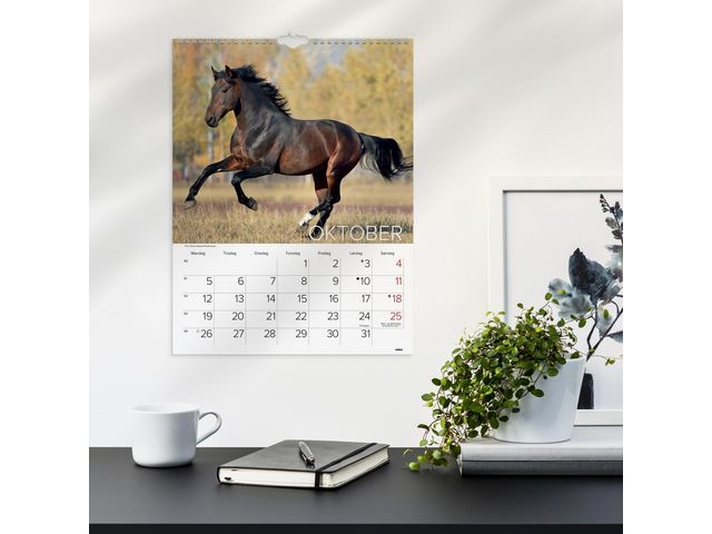 csv_image script asset.11174464.jpg