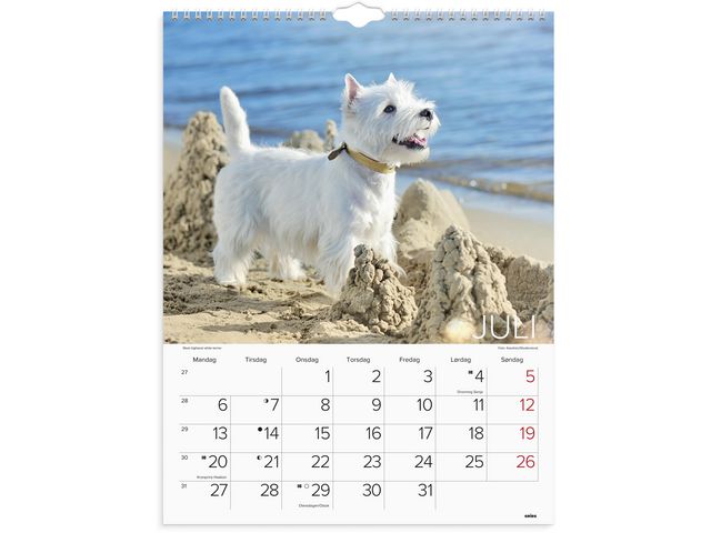 csv_image script asset.11174468.jpg