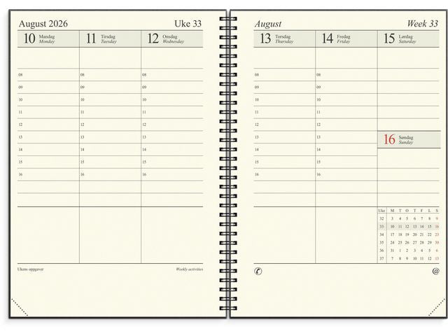 csv_image script asset.11174937.jpg