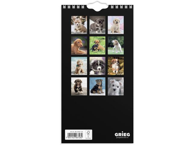 csv_image script asset.11175014.jpg