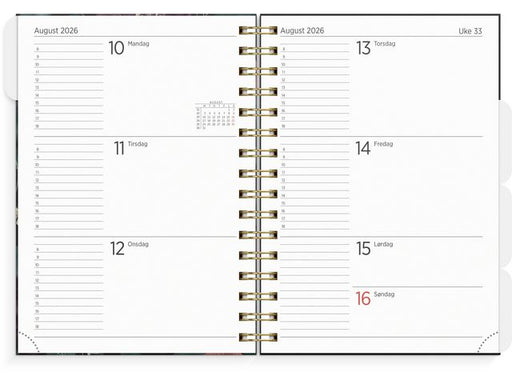 csv_image script asset.11175026.jpg