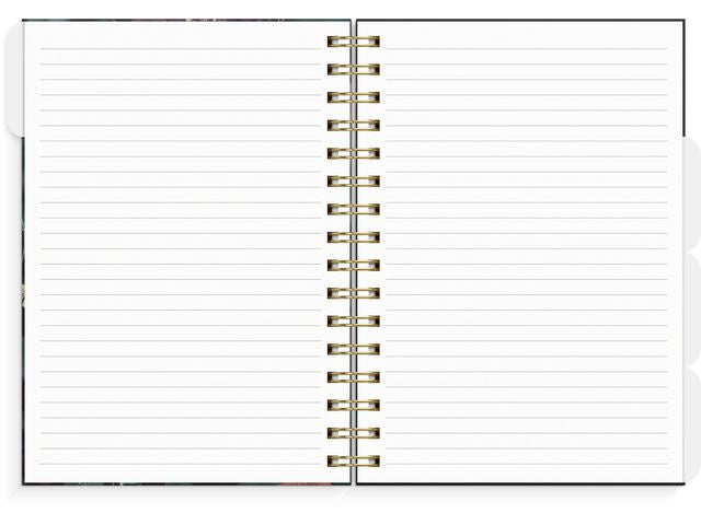 csv_image script asset.11175027.jpg