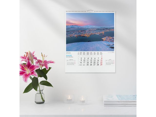 csv_image script asset.11175036.jpg