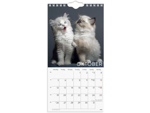 csv_image script asset.11175151.jpg