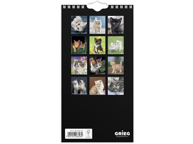 csv_image script asset.11175152.jpg