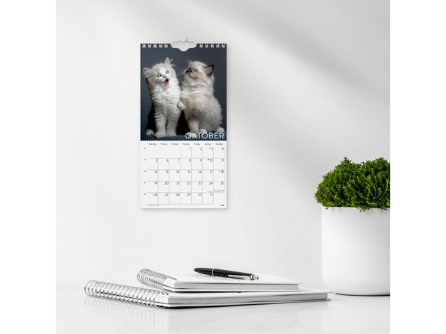 csv_image script asset.11175153.jpg