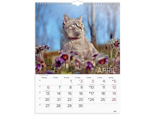 csv_image script asset.11175181.jpg