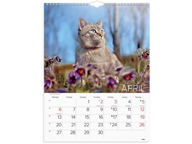 csv_image script asset.11175181.jpg