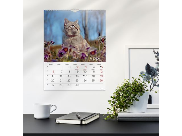 csv_image script asset.11175281.jpg