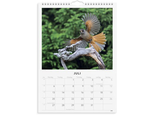 csv_image script asset.11175300.jpg