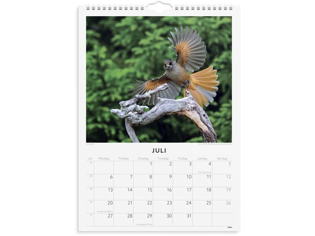 csv_image script asset.11175300.jpg