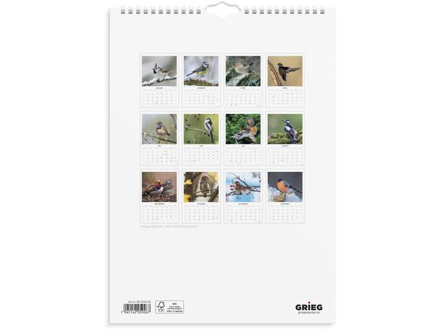 csv_image script asset.11175302.jpg