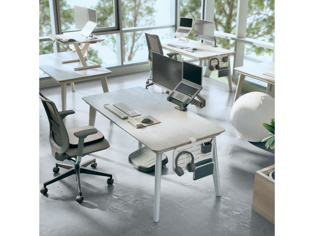 csv_image script asset.11188869.jpg